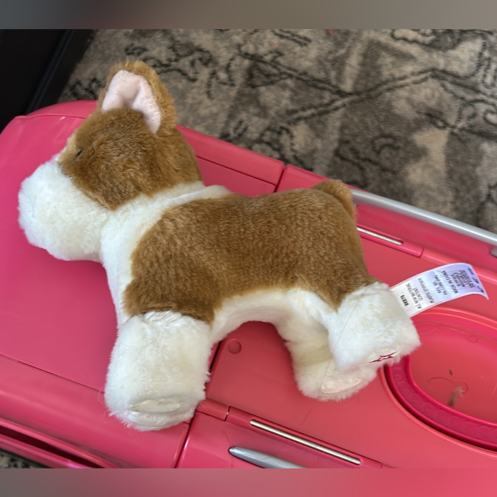 American girl dog- biscuit